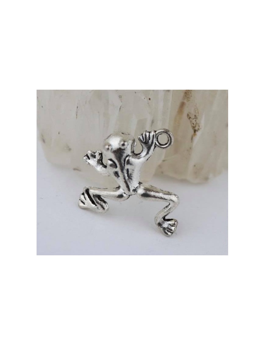 GRENOUILLE Charms